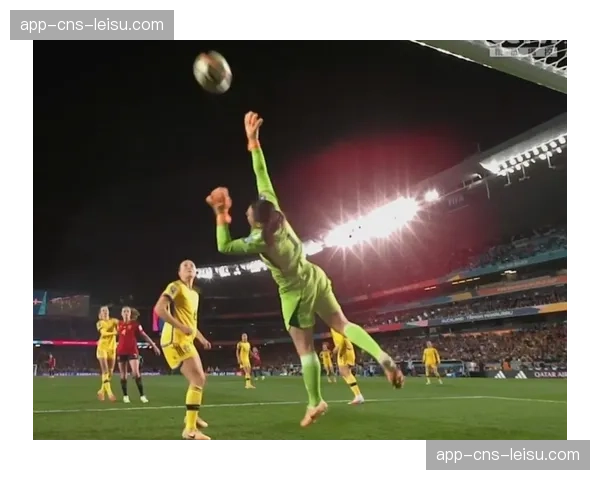 西班牙绝杀法国进决赛全记录：最后一攻的精密设计