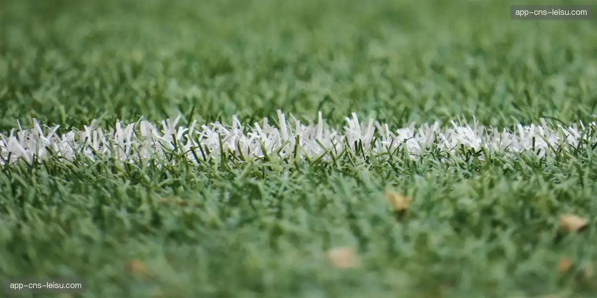 🎁 冠军联名智能手表，随时追踪你的运动数据，信仰与荣耀兼具。⌚